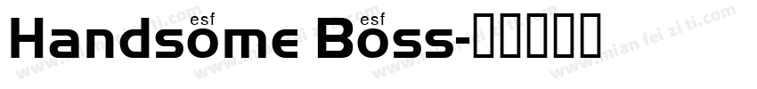 Handsome Boss字体转换